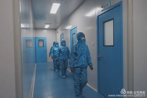 每天生产口罩5万只,每只2.5元 金川集团医用防护用品对外销售