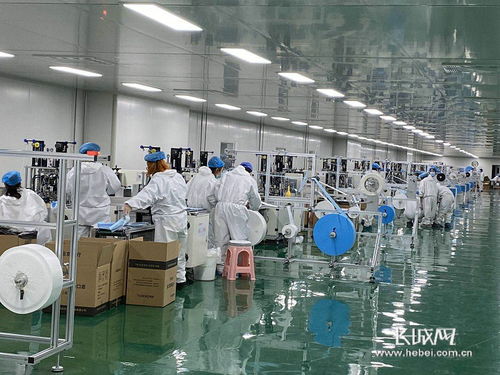 探访 河北防护用品企业如何解开 危中有机 必答题