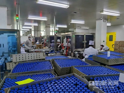 保供抗疫药品，哈药复工防护用品生产迎挑战